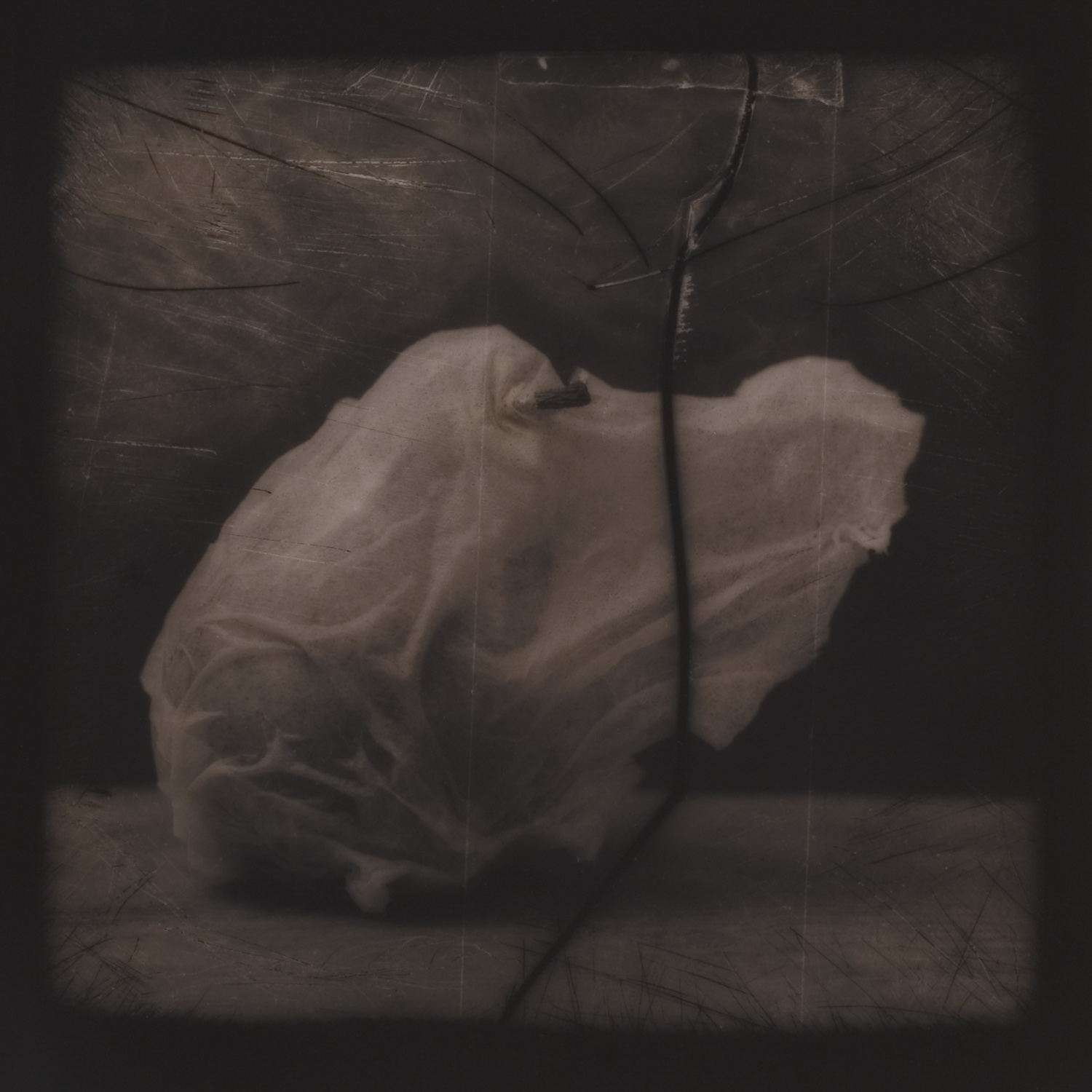 from the series Tales